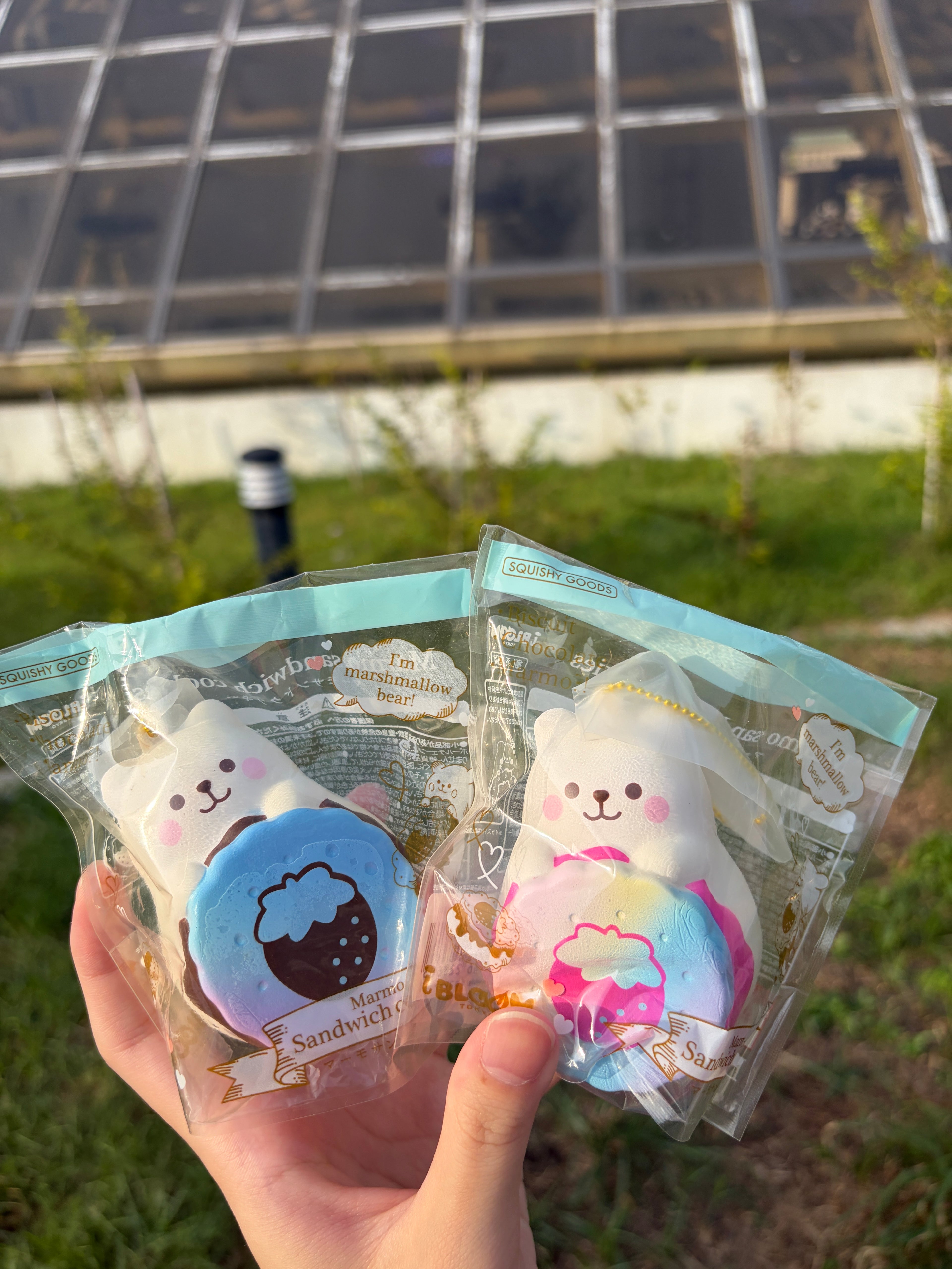 IBLOOM Sandwich Cookies Marmo Squishy – PJAS Limited Edition