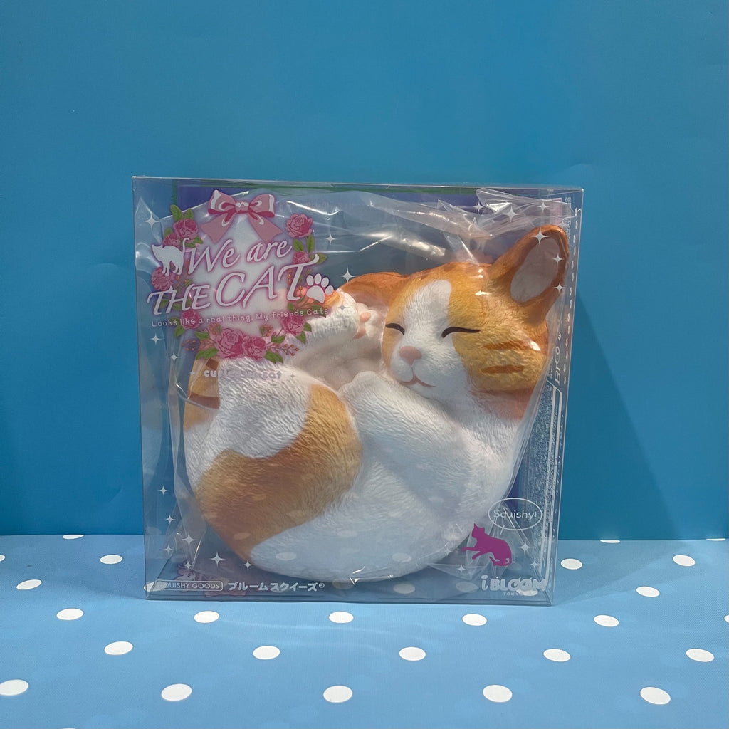 iBLOOM Cat Squishy – We Are The Cat Curled Up Complete 4-Piece Set