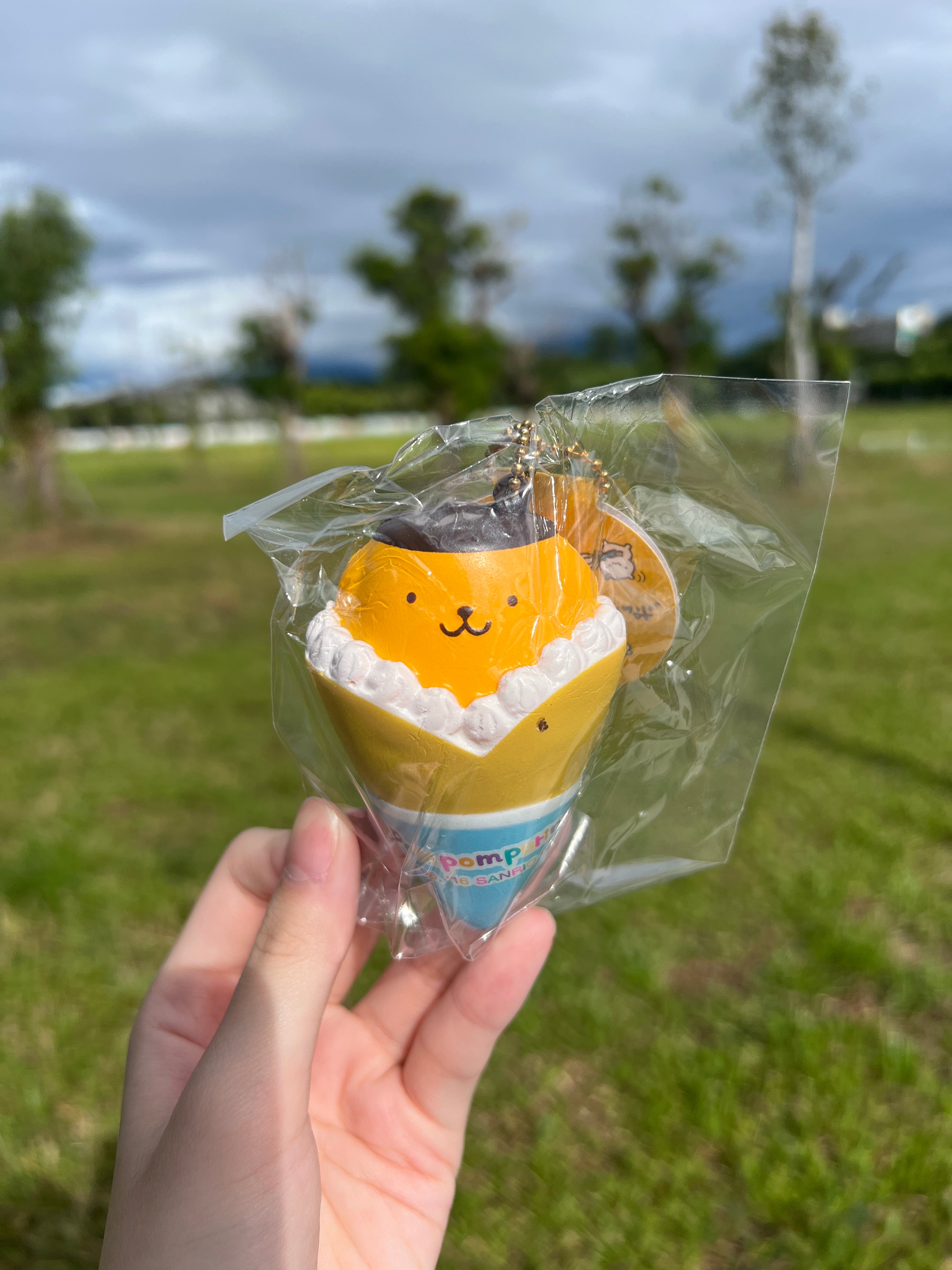 Rare Pompompurin Squishy – Sanrio Crepe Soft Keychain Japan Collectible