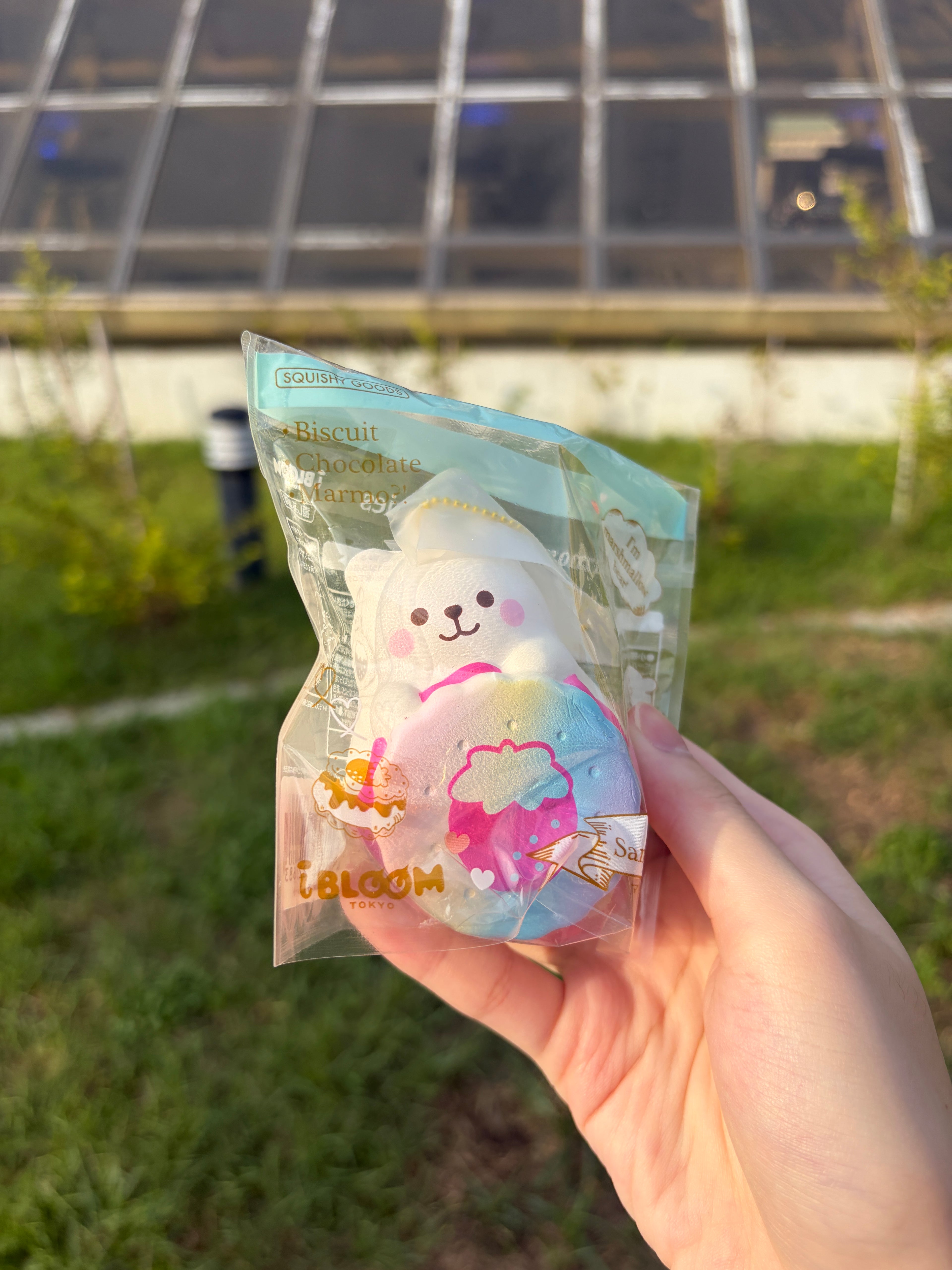 IBLOOM Sandwich Cookies Marmo Squishy – PJAS Limited Edition