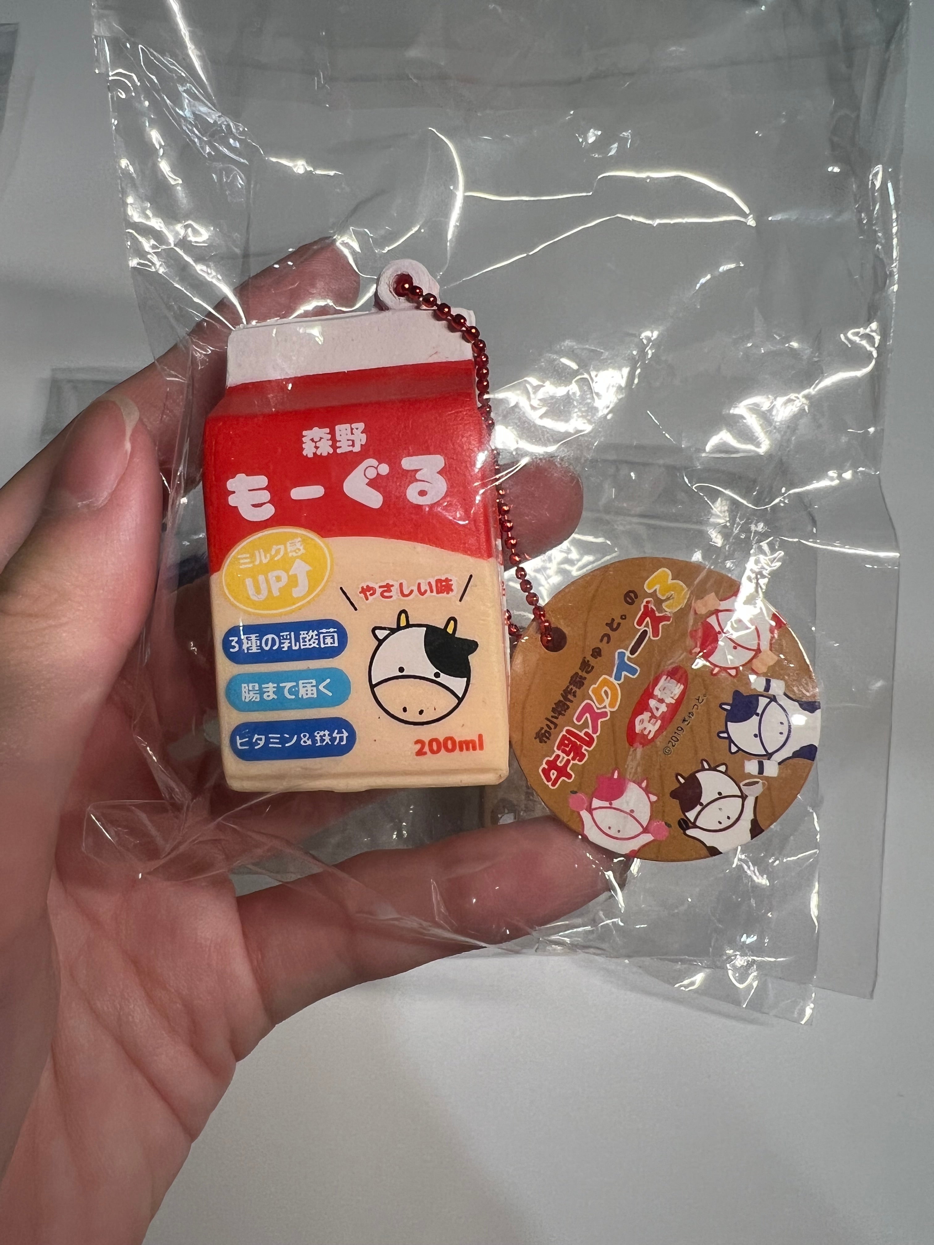BLOOM Mini Milk Carton Squishy Vol.3 迷你 牛奶盒 捏捏 吊飾｜日本 稀有 軟軟 鑰匙圈