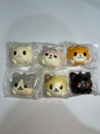 iBLOOM Mikepan Friends Squishy Blind Box