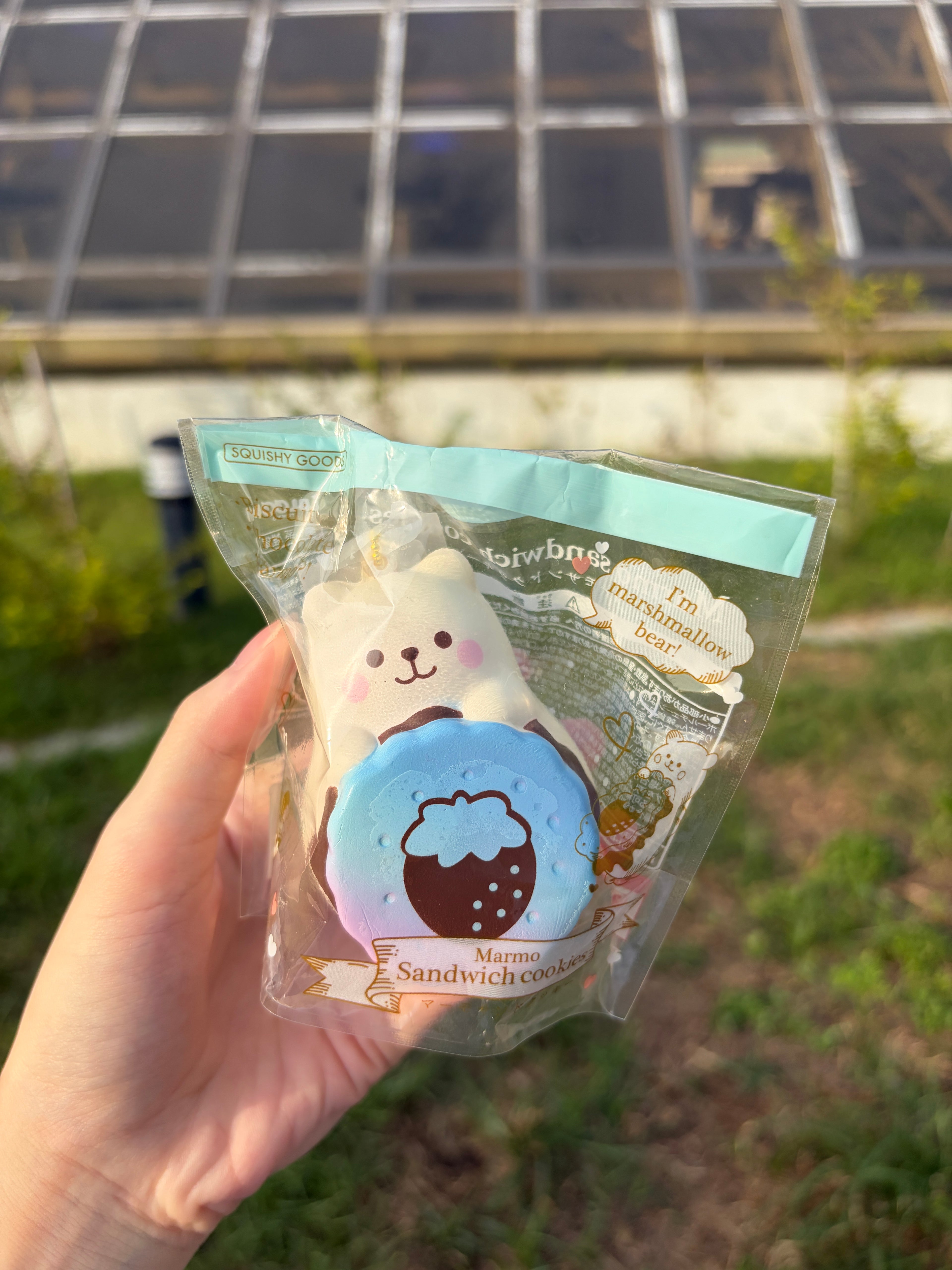 IBLOOM Sandwich Cookies Marmo Squishy – PJAS Limited Edition