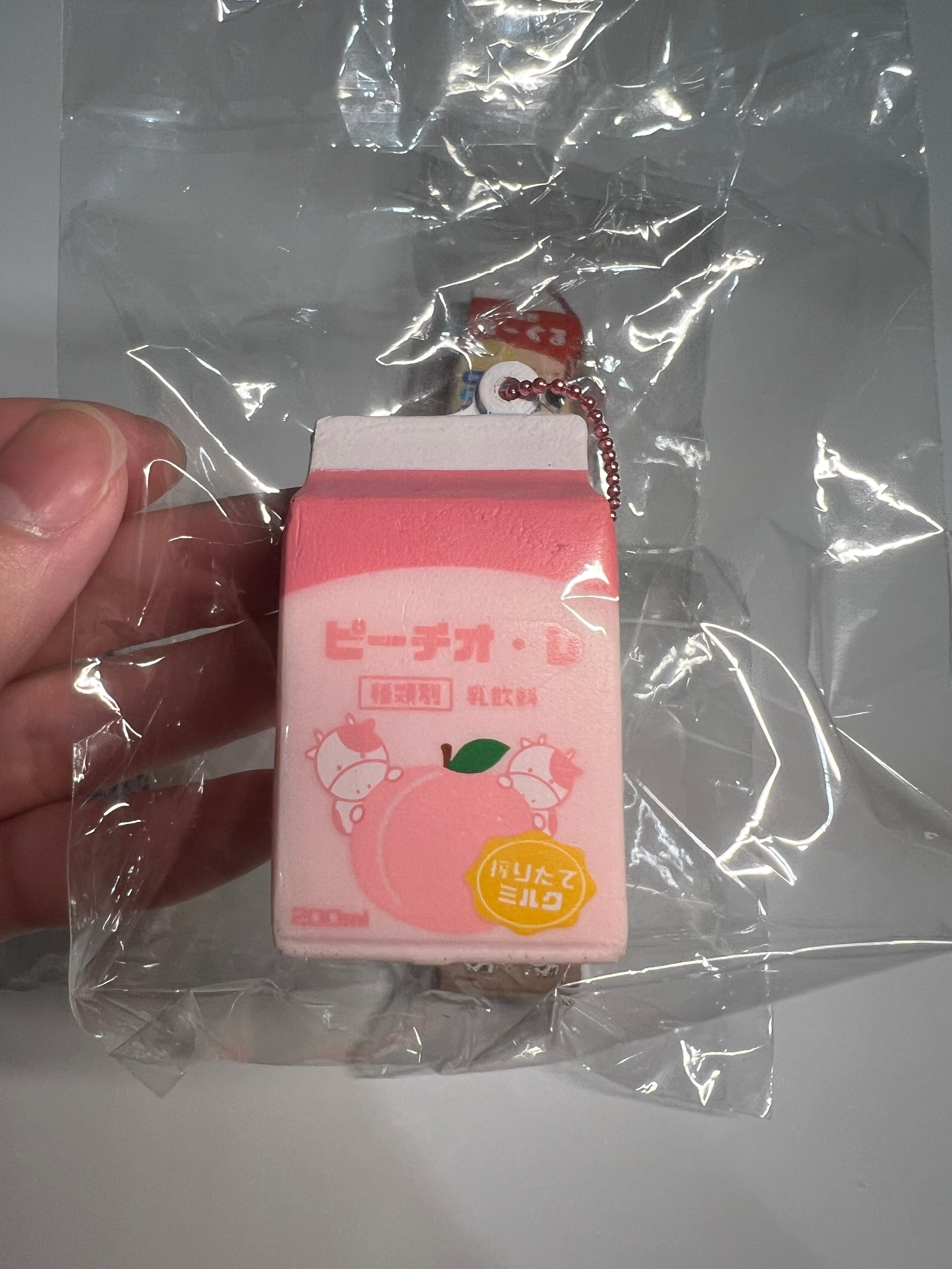 BLOOM Mini Milk Carton Squishy Vol.3 迷你 牛奶盒 捏捏 吊飾｜日本 稀有 軟軟 鑰匙圈