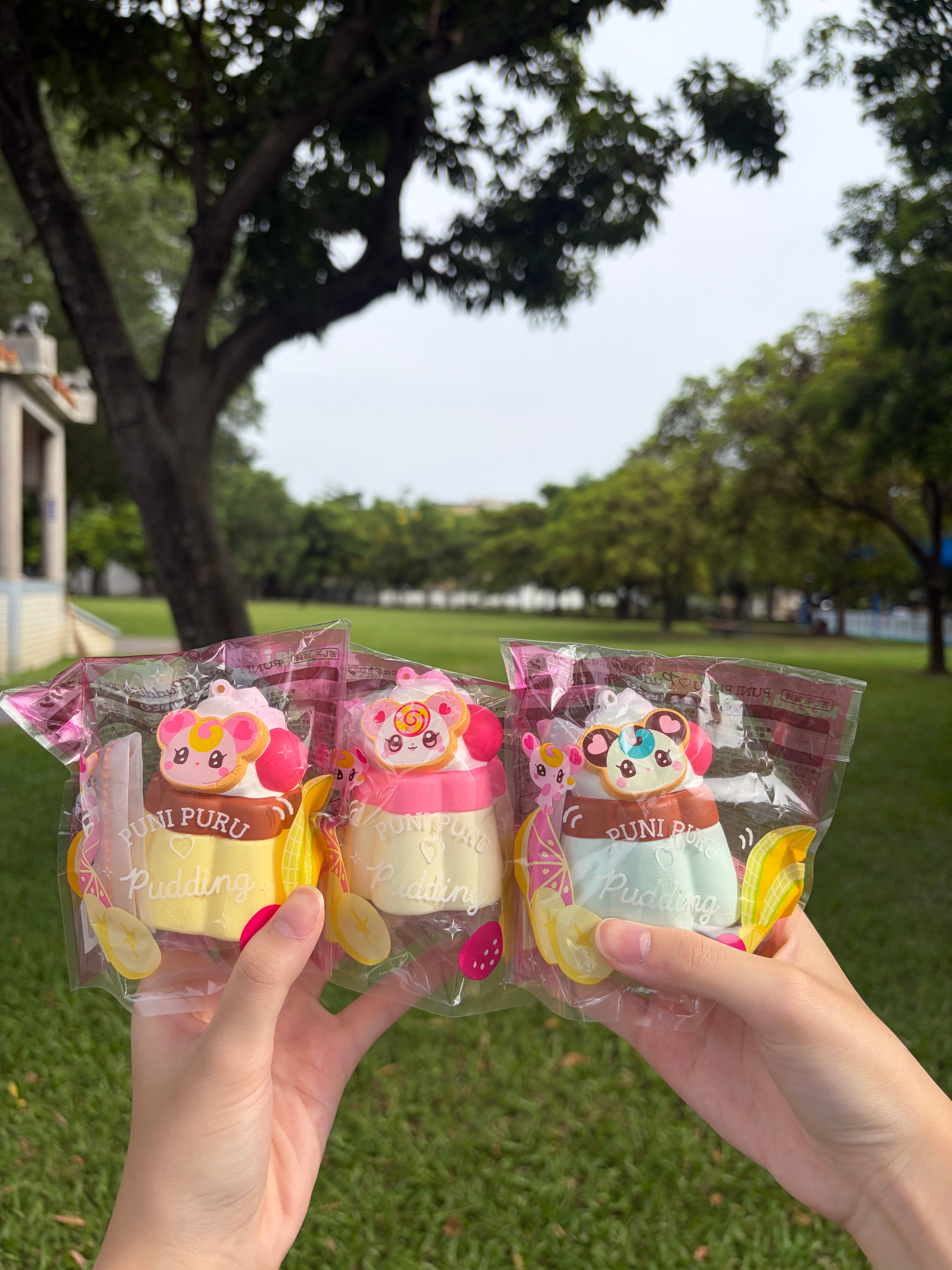 iBLOOM Puni Puru Pudding 布丁 捏捏｜日本 正版 可愛 軟軟 玩具