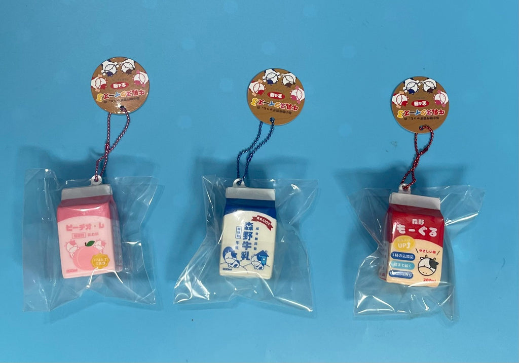 BLOOM Mini Milk Carton Squishy Vol.3 迷你 牛奶盒 捏捏 吊飾｜日本 稀有 軟軟 鑰匙圈