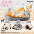 iBLOOM Cat Squishy – We Are The Cat Curled Up Complete 4-Piece Set