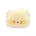 iBLOOM Puchi Bread Squishy packaging