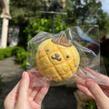 Vintage yellow Pompompurin melon bread squishy mascot in clear packaging held outdoors