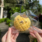 Vintage yellow Pompompurin melon bread squishy mascot in clear packaging held outdoors