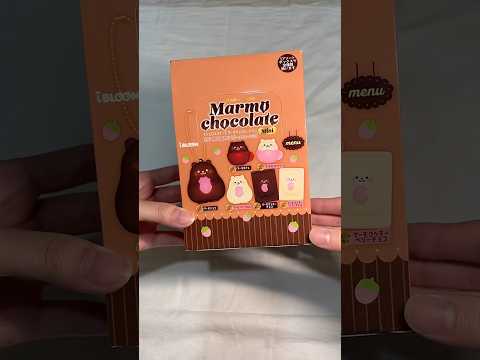 iBLOOM Marmo Chocolate Mini Squishy | Choose Your Design | Blind Box | Full Set Available