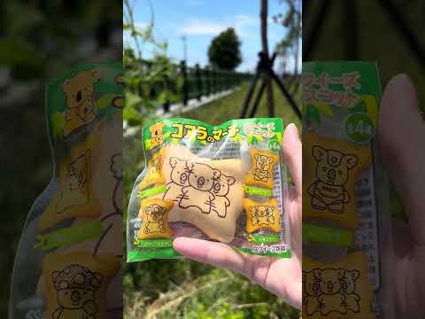 lotte 日本 正版 可愛 仿真食物 樂天 小熊餅乾 吊飾 squishy 軟軟 捏捏 慢回彈 交換禮物