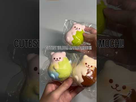 i-BLOOM Fuwamochi Marmo Mochi Squishy | Scented Slow Rising Japanese Sweet