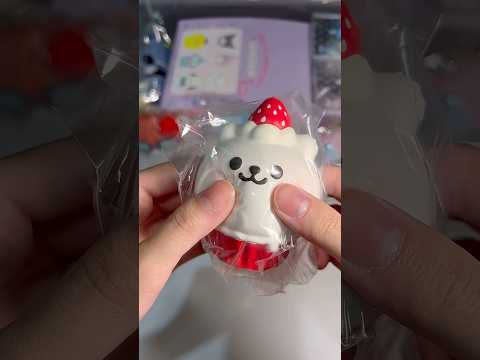 iBLOOM Mashlo Cupcake Squishy | Authentic Slow Rising Squishy