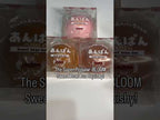 稀有 iBLOOM 豆沙包 麵包 捏捏｜香味 慢回彈 Squishy 日本 正版