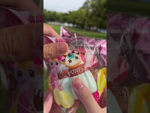 iBLOOM Puni Puru Pudding 布丁 捏捏｜日本 正版 可愛 軟軟 玩具